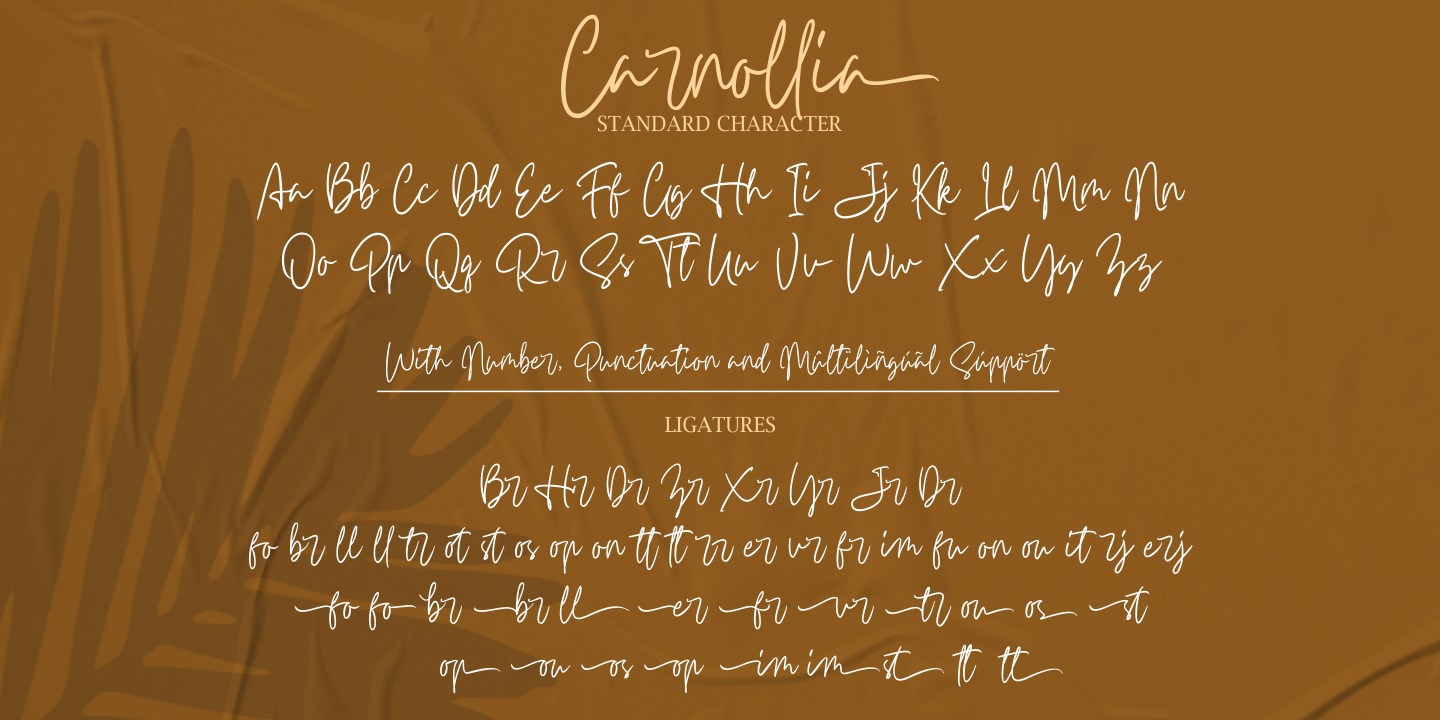 Carnollia Signature Regular Font preview